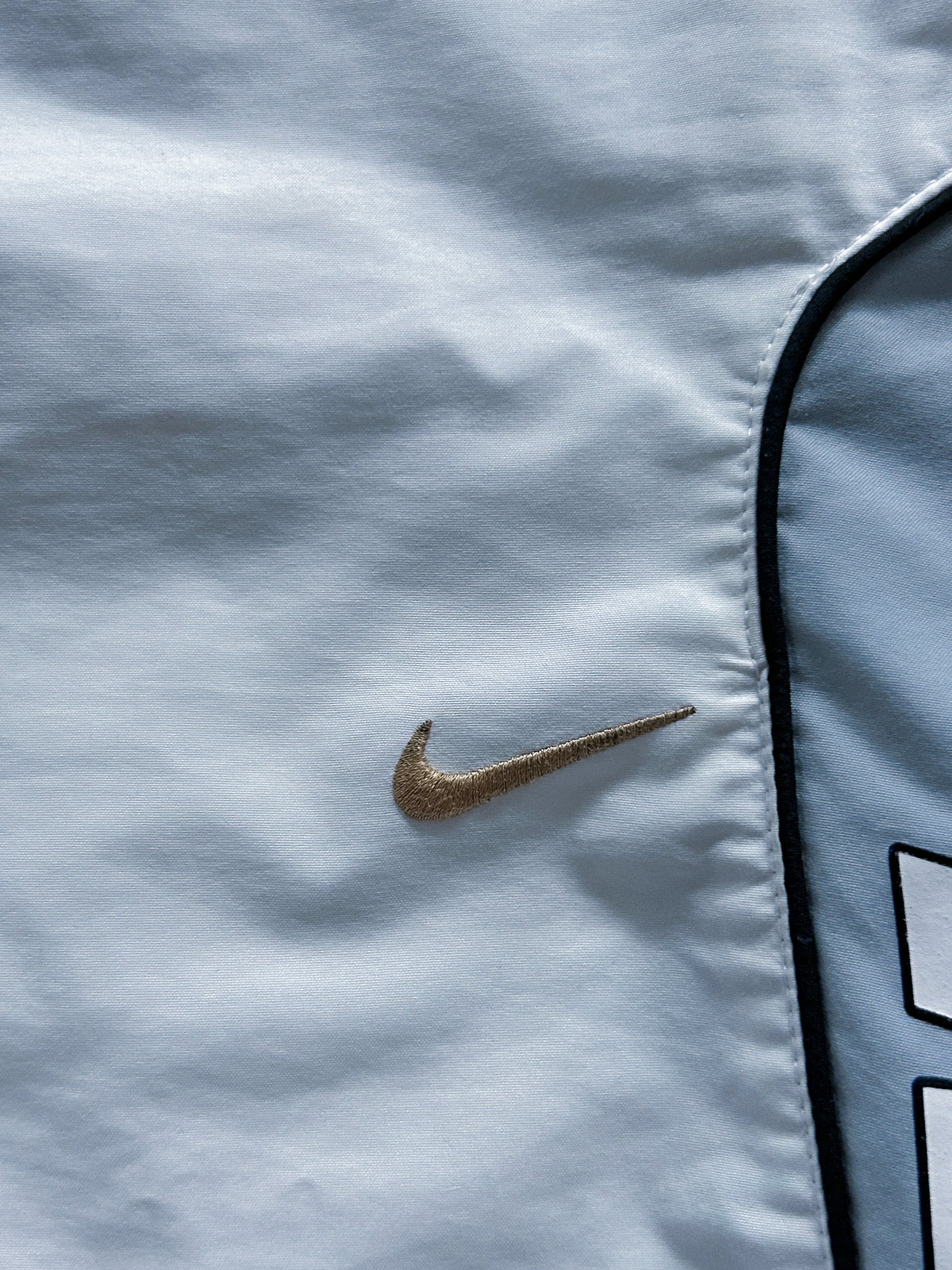 Vintage Nike Shorts | L